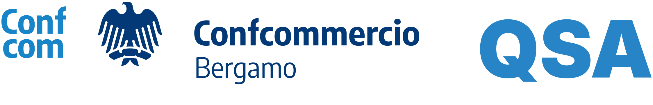 Logo QSA
